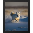 thumbnail image 2 of Maki 15x18 Black Modern Wood Framed Wall Art Titled - Arctic Chaser Ii, 2 of 6