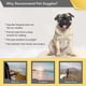 thumbnail image 3 of Cool pet goggles (black), dog sunglasses, UV-resistant goggles, windproof puppy goggles, adjustable flexible straps, suitable for small and medium-sized dogs, 3 of 5
