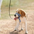 thumbnail image 3 of pet  Collar,  Halter Collar for Dogs,  Collar to Stop Pulling for Dogs, 3 of 5