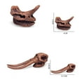 thumbnail image 4 of Kiplyki Ancient Animals Head Skeleton Model Skull Educational Toys Bones Decor, 4 of 6