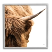 Close Up Cattle Horn Photography Animals & Insects Photograph Gray Framed Art Print Wall Art