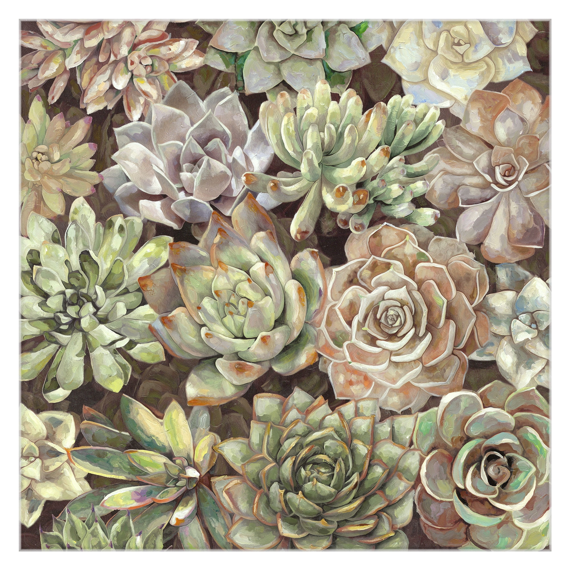 Desert Garden Soft by Dixon Design Group Wrapped Canvas Painting Art Print