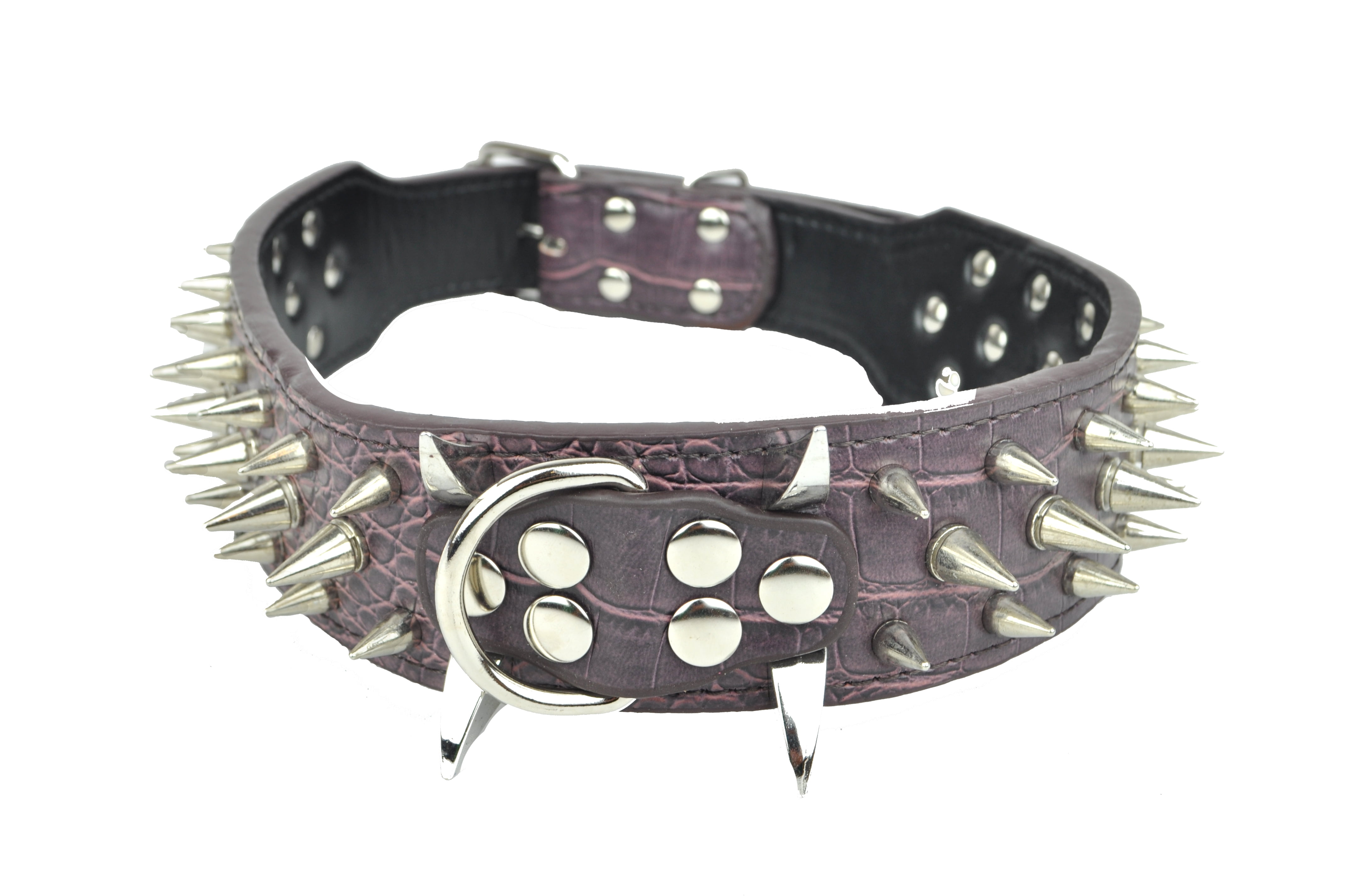 large studded dog collars