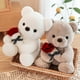 thumbnail image 5 of Oso de peluche HWD 25 cm con peluche de peluche rosa para San Valentín, 5 of 6