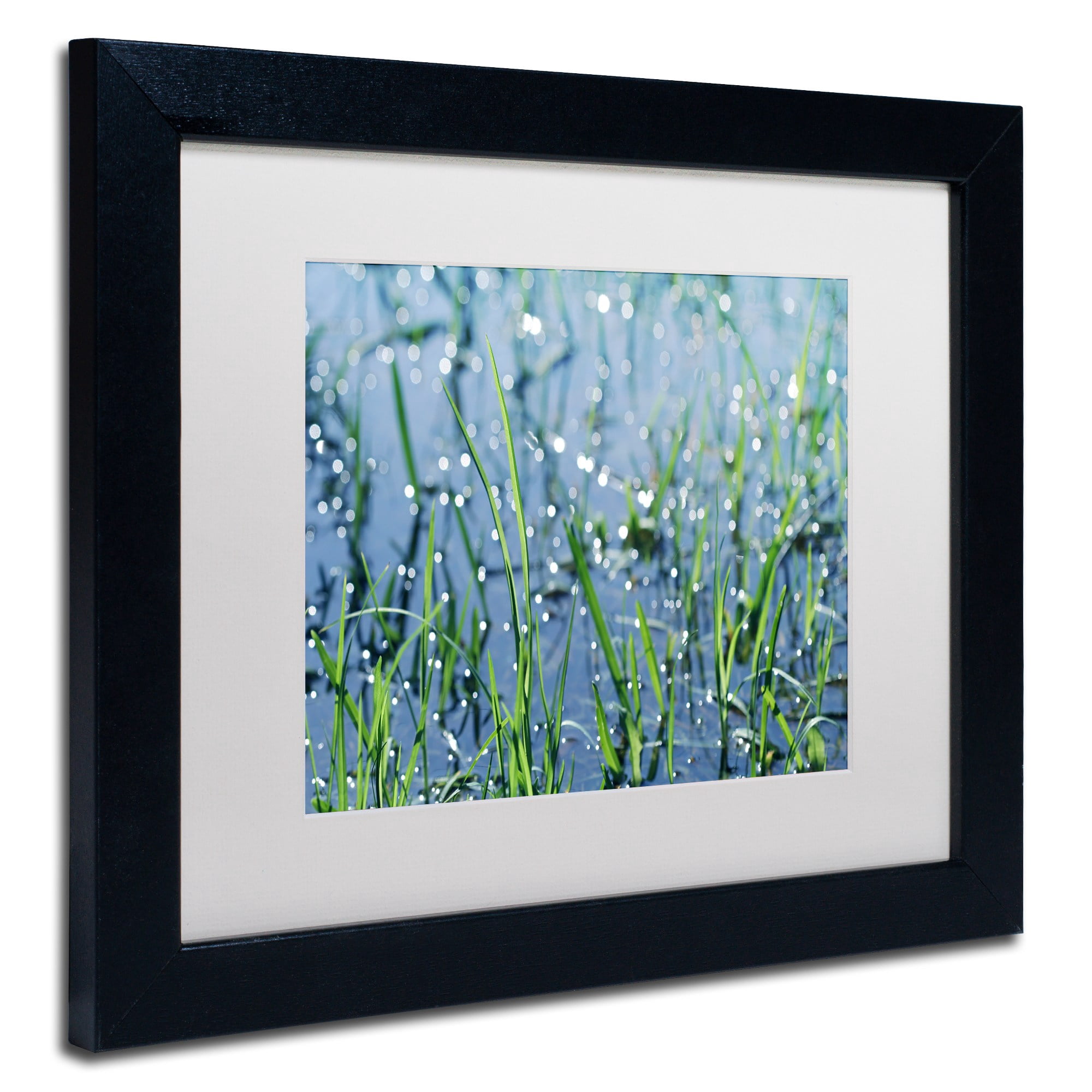 Trademark Fine Art "After the Rain" Canvas Art by Beata Czyzowska Young, White Matte, Black Frame