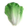 thumbnail image 4 of Alimento Artificial Vegetal Alimento Artificial de Simulación Vegetal Decoración de la Cocina del Hogar Magideal Vegetal Alimento Artificial Vegetal, 4 of 5