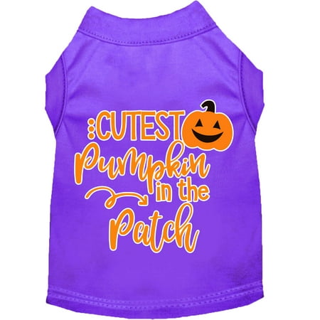 Cutest Pumpkin In The Patch Screen Print Dog Shirt Purple Xxxl