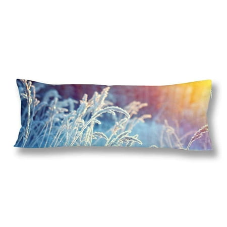 ABPHOTO Winter Scene Frozenned Flower Body Pillow Covers Pillowcase 20x60 inch Pine Forest Sunset Body Pillow Case Protector