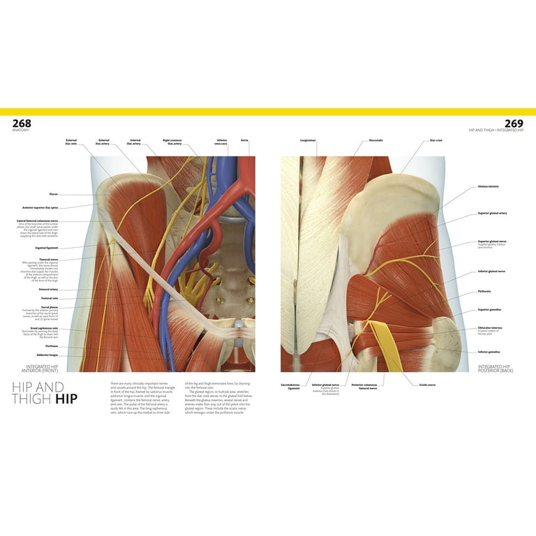 DK Human Body Guides: The Complete Human Body, 2nd Edition