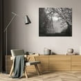 thumbnail image 3 of Vitaly Geyman 24x20 Gallery Wrapped Canvas Wall Art Titled - Misty Arch Tree BandW, 3 of 4