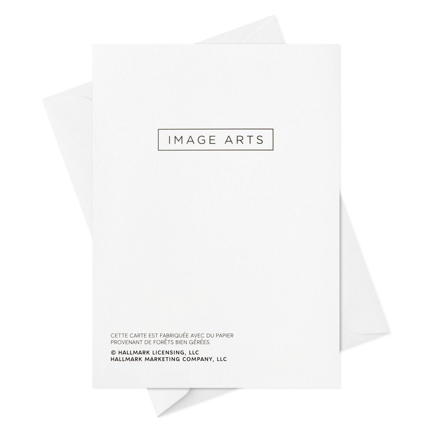 Boîte de cartes de Noël en français, Image Arts, assortiment de motifs aux couleurs vives, paquet de 20 cartes