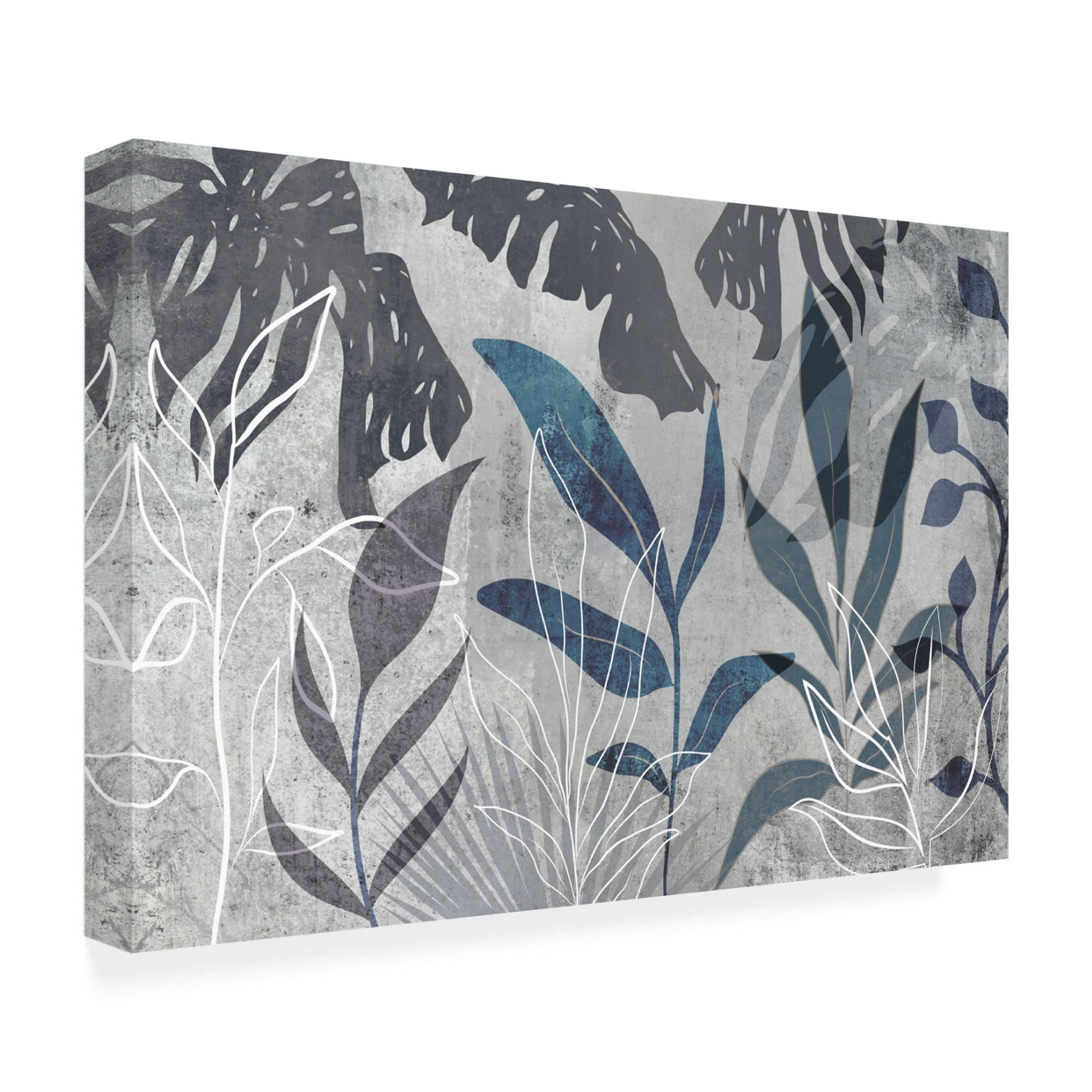 Trademark Fine Art Andrea Haase  Modern Botanical No3 Canvas Wall Art