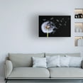thumbnail image 2 of Trademark Fine Art Bess Hamiti Dandelion Blowing Canvas Wall Art - 30x47, 2 of 5