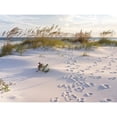 thumbnail image 3 of Braun Studio 18x15 Black Modern Framed Museum Art Print Titled - Plage 11, 3 of 5