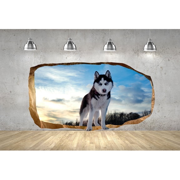 Startonight 3D Mural Wall Art Photo Decor Beautiful Dog Amazing Dual View Surprise Wall Mural Wallpaper for Bedroom Animals Wall Paper Art Gift Large 47.24 ?? By 86.61 ??
