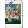 thumbnail image 3 of A Group Of Carnations Wall Poster with Push Pins, 14.725" x 22.375", 3 of 6