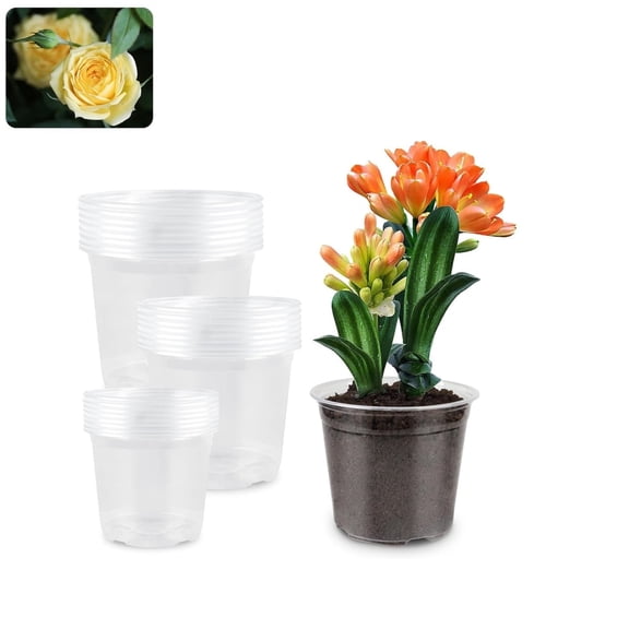 Reinforced Seed Starter Pots,QZS Round Seeds Starter Pots,3Size Portable Seeds Germination Containers with Drainage Holes for Home