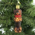 thumbnail image 3 of Inge Glas Dachshund. Glass Hot Dog Pet Long Body 10096S020, 3 of 3
