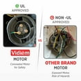 thumbnail image 3 of Vidiem Eva Citron 550W Stainless Steel Electric Coffee Grinder, 3 of 8