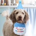 thumbnail image 4 of KAKOWELY 1 juego de gorro de cumpleaños para perro, babero para gato, gorro de cumpleaños para gato, atuendo de cumpleaños para perro, suministros para fiesta de cumpleaños de mascotas, 4 of 5
