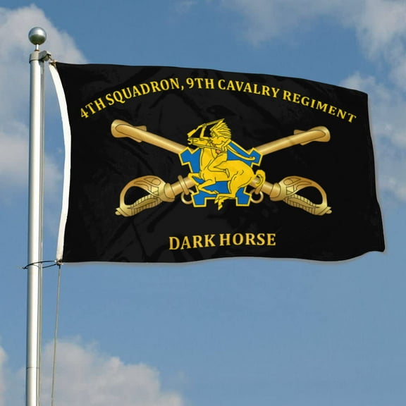 4th Squadron, 9th Cavalry Regiment Dark Horse 1st Cavalry Division US Army Flag 3x5Feet Outdoor Indoor Decoration Flag with Brass Grommets