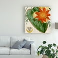 thumbnail image 3 of Trademark Fine Art 'Cropped Turpin Tropicals I' Canvas Art by Vision Studio, 3 of 4