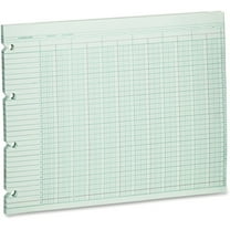 Wilson Jones, WLJG1020, 20-Column Ruled Sheets, 100 / Pack
