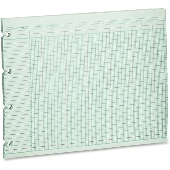 Wilson Jones, WLJG1020, 20-Column Ruled Sheets, 100 / Pack