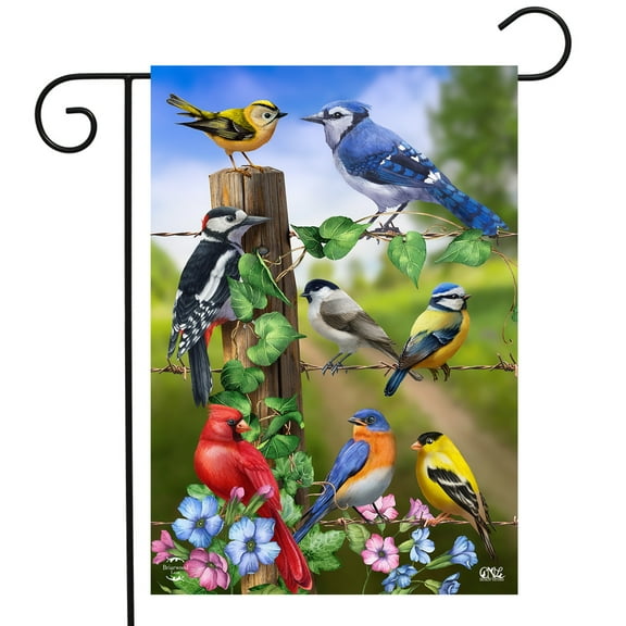 Briarwood Lane Country Birds Spring Garden Flag