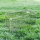 thumbnail image 1 of unbranded Caja Para Y Reptiles Multifuncional Traslúcida En Acrílico Con Buena Transpirabilidad Y Resistencia, 1 of 8