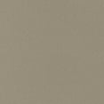 thumbnail image 2 of Ford BA/BM, Light Prarie Tan Metallic, 2 of 4