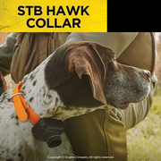 Dogtra STB Beeper Collar – Hawk Version Dog Training Collar