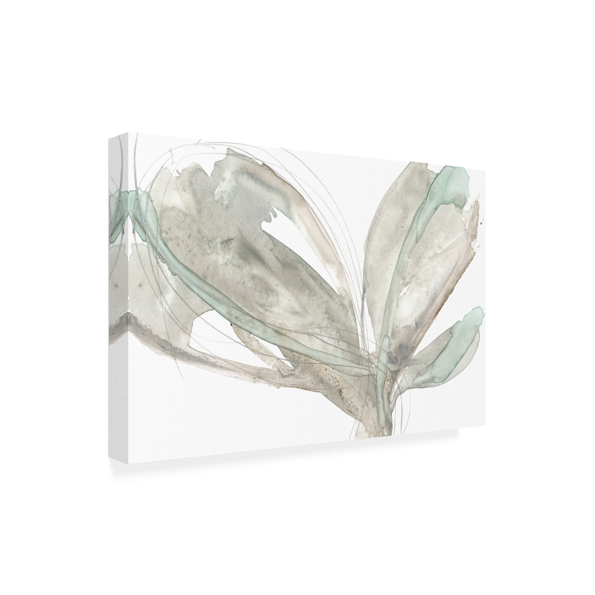 Trademark Fine Art 'Petal Vortex I' Canvas Art by Jennifer Goldberger