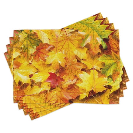 

Fall Placemats Set of 4 Wet Fall Leaves in Rainy Weather Maple Tree Nature in November Change of Seasons Theme Washable Fabric Place Mats for Dining Room Kitchen Table Decor Multicolor by Ambesonne