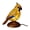 Yellow, variant on Ruanlalo Stained Glass Bird Lamp Light USB Powered Resin Bird Night Light Home Office Living Room Bedroom Desk Decoration Lamp Christmas Birthday Gift