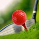 thumbnail image 3 of Pelotita de golf para torneos VentDepot MXSGQ-002 2 Piezas Rojo, 3 of 3
