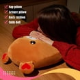 thumbnail image 4 of Almohada de peluche con forma de oso de peluche CozyWorld Romantic, 4 of 9