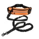 thumbnail image 1 of Correa para perro manos libres para correr y caminar, cinturón para pasear perros con cintura elástica ajustable y bolsa para perros medianos, 1 of 5