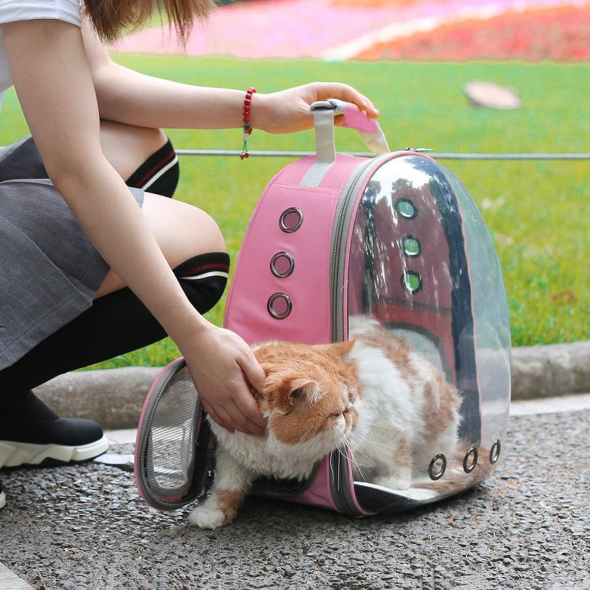 DENZUS Bubble Expandable & Foldable Cat Backpack Carrier, Breathable Pet Backpack for Large Cats, Designed for Hiking, Travelling, Camping