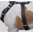 thumbnail image 2 of Black Genuine Leather Dog Harness, Large to XLarge. 35"-39" Chest, 1.5" Wide Straps, Great Dane Cane Corso, 2 of 3