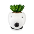 thumbnail image 3 of Mini maceta de cerámica con forma de cacahuetes y cara de Snoopy con plantas suculentas artificiales, 3 of 6