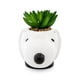 thumbnail image 3 of Mini maceta de cerámica con forma de cacahuetes y cara de Snoopy con plantas suculentas artificiales, 3 of 6