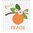 thumbnail image 3 of Ambesonne Peach Shower Curtain, Learning P is for Peach Fruit, 69"Wx84"L, Apricot Olive Green, 3 of 3