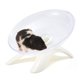 thumbnail image 2 of Rueda de ejercicio para hámster, disco giratorio, erizo, ratón, deportes, rata silenciosa, juguete pequeño para mascotas blanco, 2 of 9
