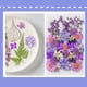 thumbnail image 3 of Flor seca natural Decoración floral prensada artística Flores en relieve conservadas planta seca decorada decorativa para maquillaje facial tipo 3 seitruly  HA010797-03, 3 of 7