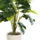 thumbnail image 4 of Planta simulada Bonsái decorativa Ticfox 61897, 4 of 5