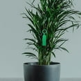 thumbnail image 4 of OUNONA 200Ud Etiquetas De Jardín Reutilizables Para Plantas Plásticas Para Invernadero Y Exterior, 4 of 6