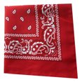 thumbnail image 1 of Toystoory Pañuelo cuadrado para exteriores de 55cm x 55cm, diadema negra y roja de Cachemira estampada para mujeres/hombres/niños/niñas Almacenamiento y organización del hogar rojo Toystoory HA5742-07, 1 of 6