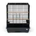 thumbnail image 3 of Prevue Pet Products Parrot Bird Cage - Black SP25217B/B, 3 of 8