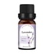 thumbnail image 1 of Price Drop Coconut oil Essential oils 10ML Candle Unilateral Sweet Orange Aromatherapy Teatree Oil Lavender DIY Candle Material Oil-Soluble Aromatherapy Essentialoil(buy 2 get 10% off), 1 of 2